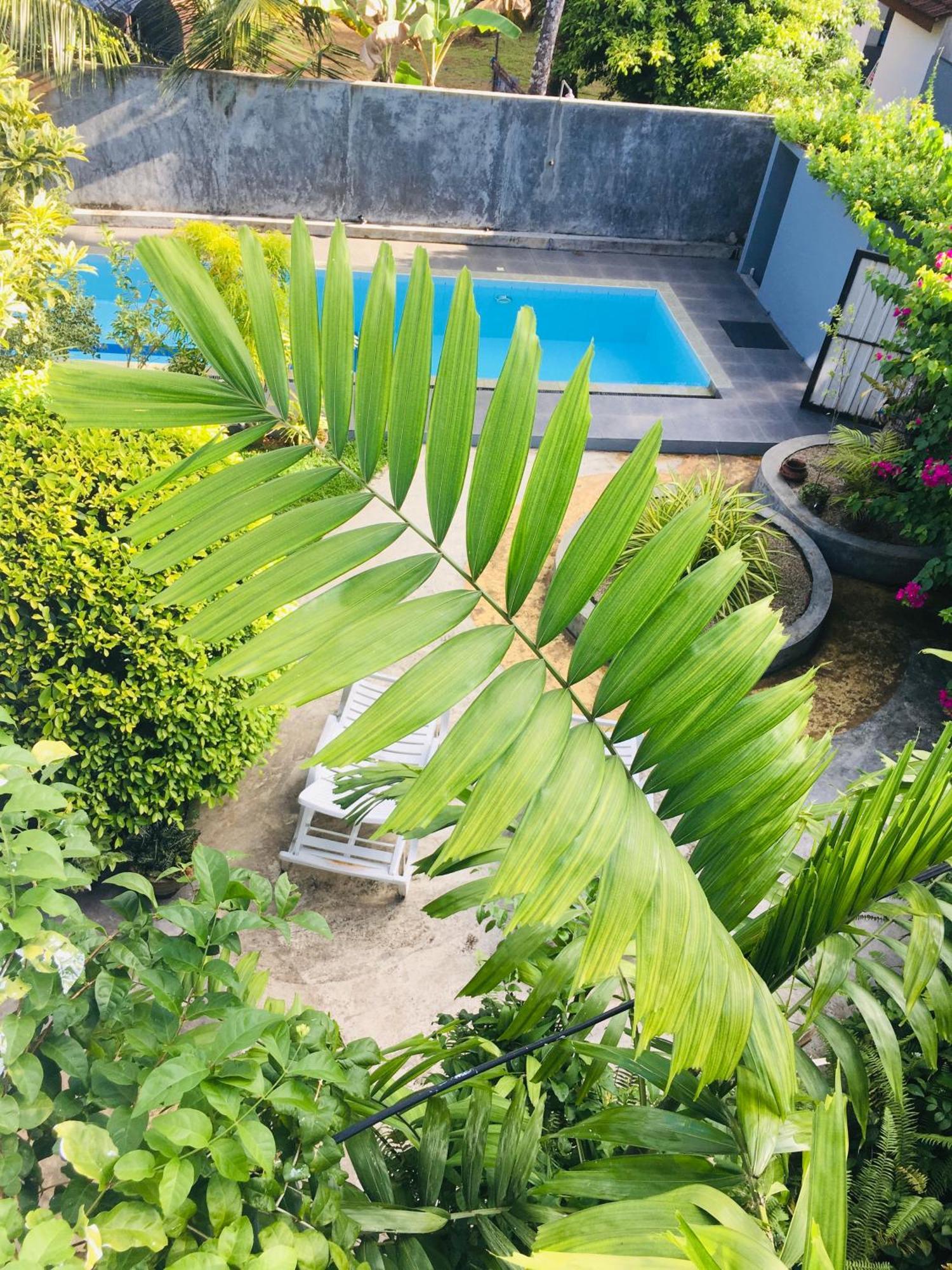 Om Villa Hikkaduwa Exterior foto